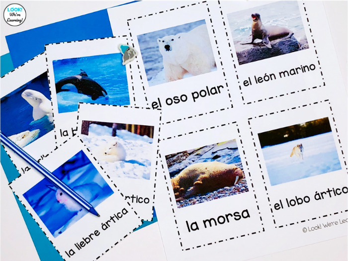 Spanish Winter Animal Flashcards