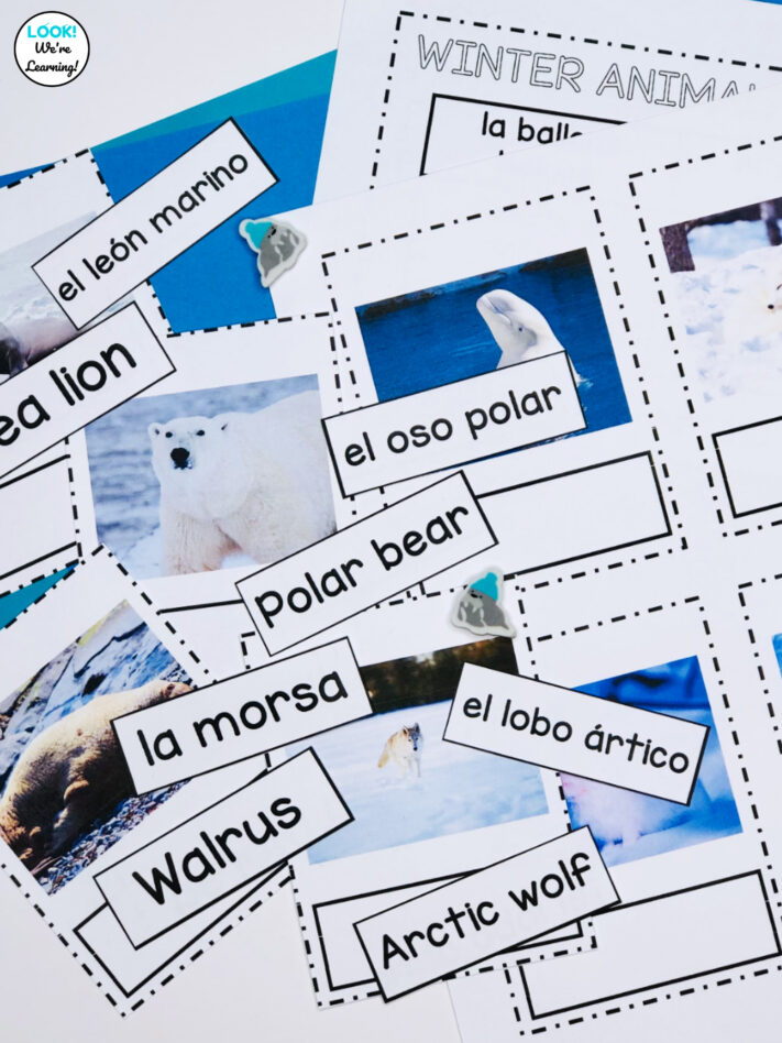 Using Spanish Winter Animal Cards