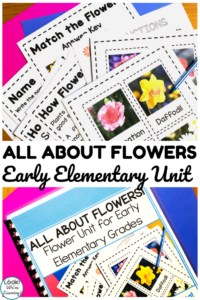 All About Flowers Early Elementary Unit