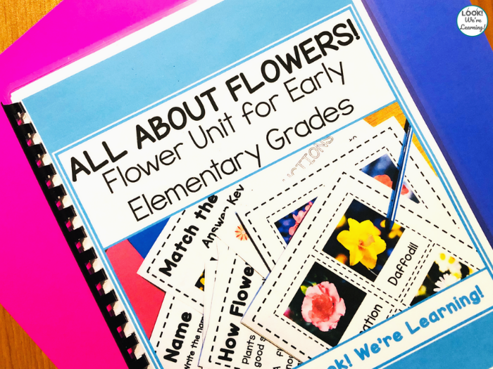 All About Flowers Unit for Early Grades