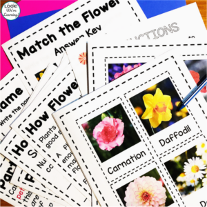 Flower Printables Set for Early Grades