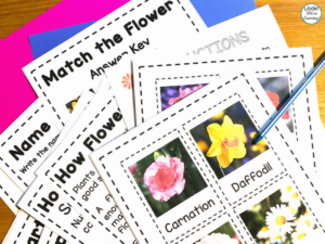 Flower Printables for Kids in Early Grades