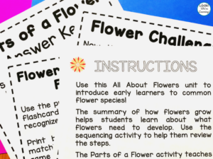 Flower Theme Activities for Early Grades