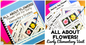 Flower Theme Unit for Early Grades