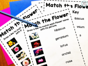 Learning about Flowers for Early Grades