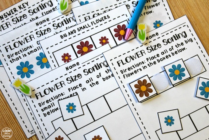Big and Small Flower Size Worksheets
