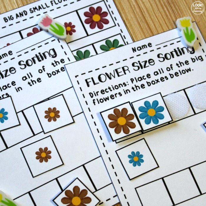 Printable Flower Size Activity for Early Grades