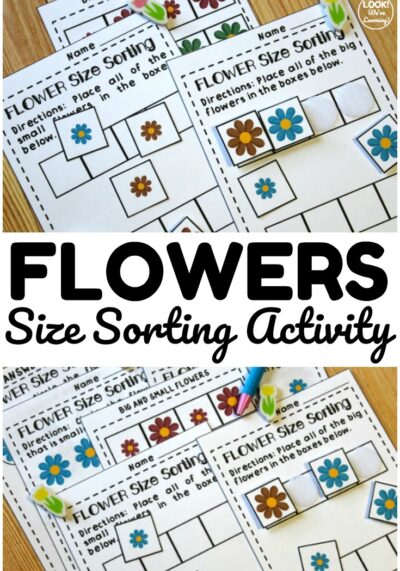 This spring flower themed size sorting activity is so much fun for early learners! Students can use it to practice separating big and small flowers during spring!