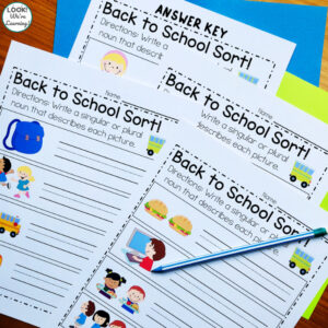 Singular and Plural Noun Practice for Second Grade