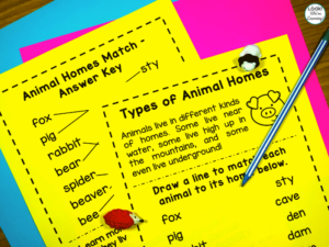 Animal Homes Worksheet