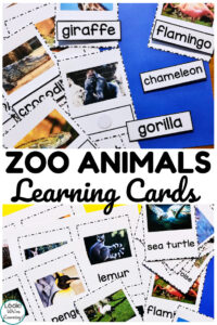 Help early learners recognize animals with these printable zoo animal flashcards!