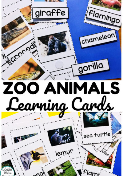Help early learners recognize animals with these printable zoo animal flashcards!