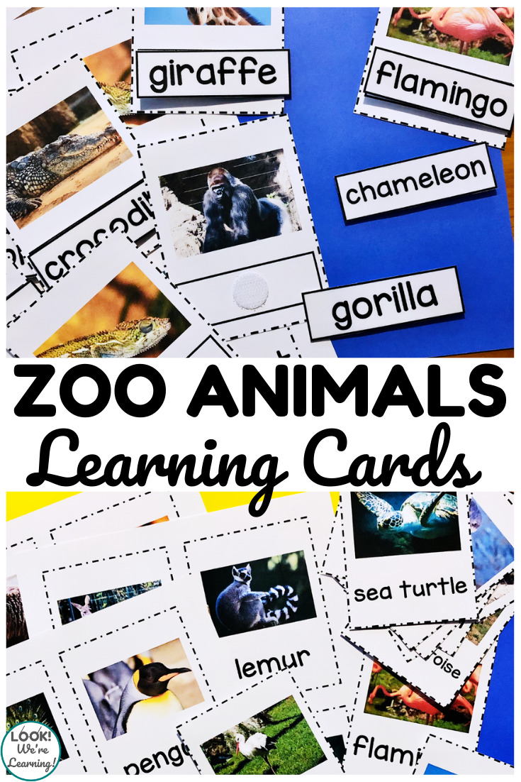 Zoo Friends! Printable Zoo Animal Flashcards - Look! We're Learning!