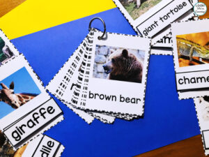 Printable Zoo Animal Naming Cards