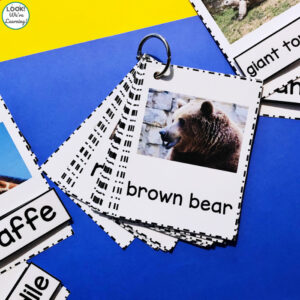 Zoo Animal Identification Cards