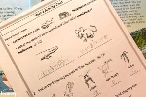 BookShark Animal Diets Printable Lesson