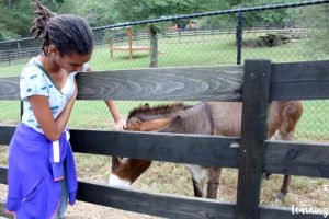 Close Encounters with Animals at a Wildlife Refuge