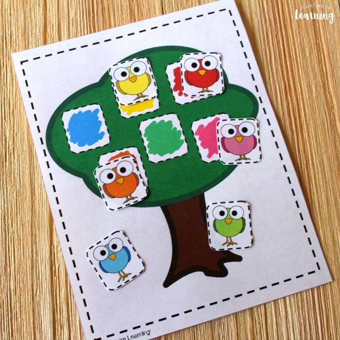 Bird Color Matching Activity for Kids