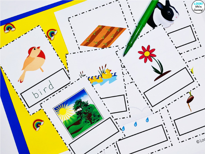 Hands-on Spring Sight Words Practice