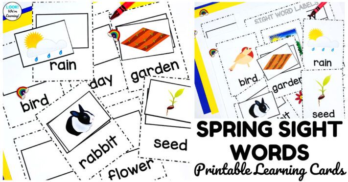 Printable Spring Sight Words Cards