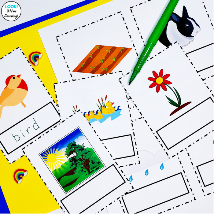 Spring Sight Words Matching Cards