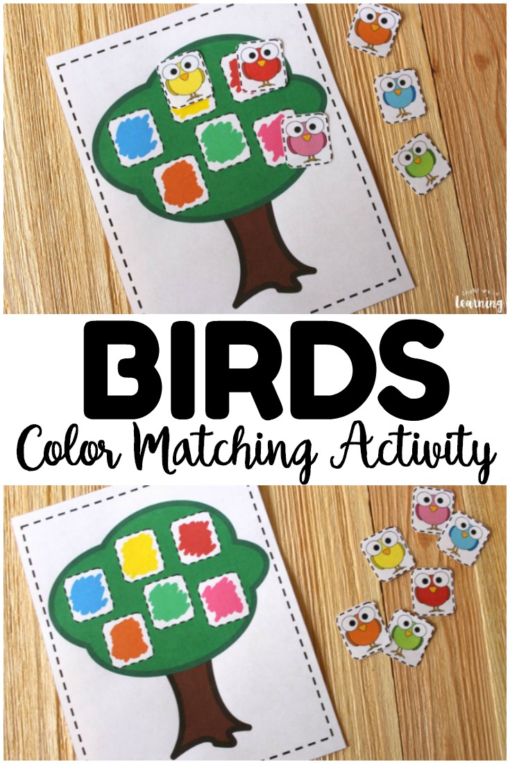 Work on color recognition with this cute bird-themed color matching activity for kids! So simple for an early learning activity!