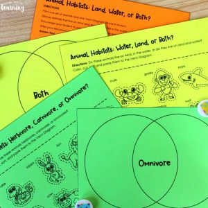Animal Diets and Habitats Sorting Activity