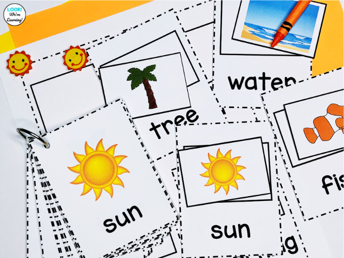 Matching Summer Sight Words PIcture Cards