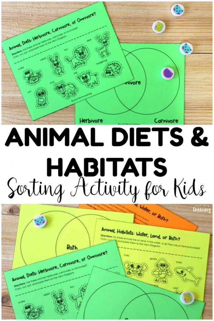Teach students about animals with this animal diets and habitats sorting activity! Such an easy way to learn about animal science with young learners!
