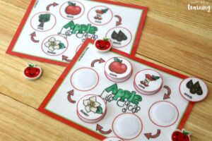 Apple Life Cycle Sequencing Activity for Kids