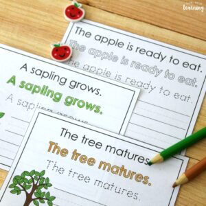 Apple Tree Life Cycle Sentence Writing