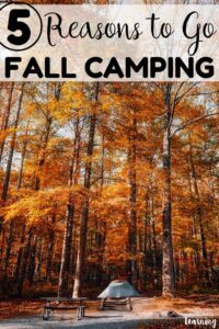 Plan a fun family getaway this autumn and go fall camping as a family! See why this is the best time of year to head outside together!
