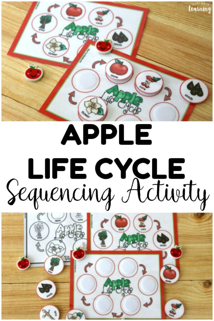 This printable apple life cycle sequencing activity is perfect for helping students learn how apples grow! Use it at science centers or in morning tubs!