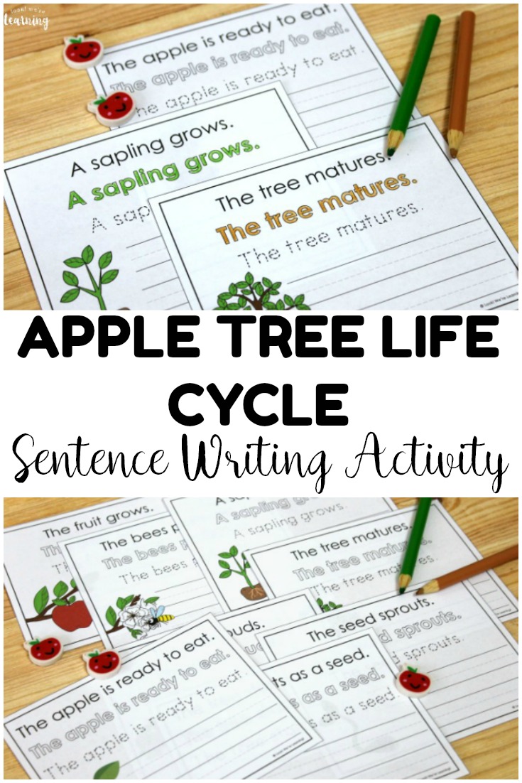 This printable apple tree life cycle is perfect for fall science and ELA practice! Add it to writing centers or science centers!