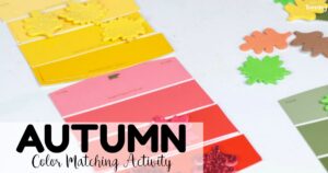 Easy Preschool Fall Color Matching Activity for Kids