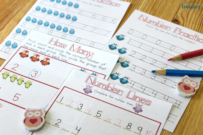 Printable Owl Numbers Lesson for Early Grades