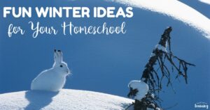 Fun Winter Homeschool Ideas to Try