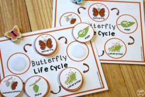 Butterfly Life Cycle Sequencing for Kids