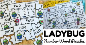 Fun Ladybug Number Word Puzzles for Kids