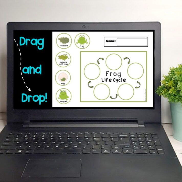 Frog Life Cycle Sequencing Activity Digital Product