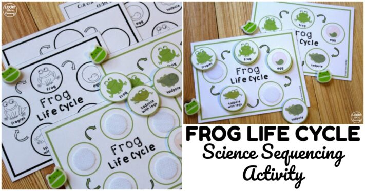 Fun Frog Life Cycle Sequencing Activity for Kids