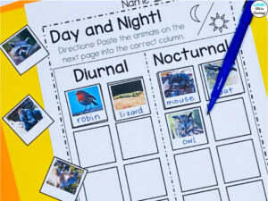 Classifying Animals by Sleeping Habits