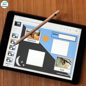 Digital Diurnal and Nocturnal Animals Sorting Activity