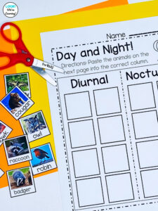 Diurnal Animal Sorting Practice
