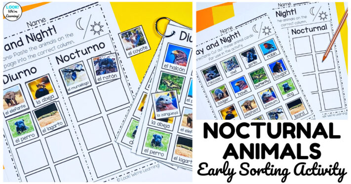 Diurnal and Nocturnal Animals Sorting Activity for Early Grades