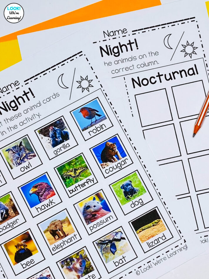 Diurnal and Nocturnal Animals for Early Grades