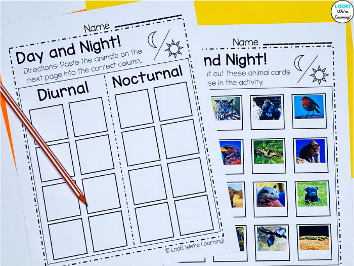 How to Teach Early Grades about Nocturnal Animals