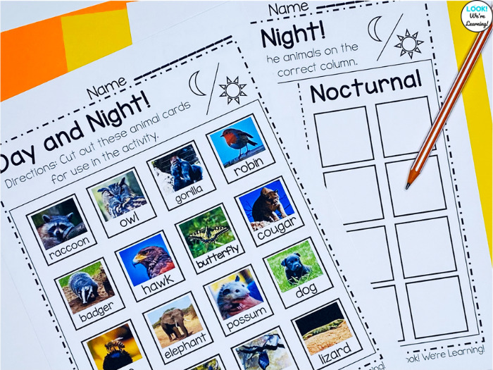 Nocturnal Animals Early Elementary Activity