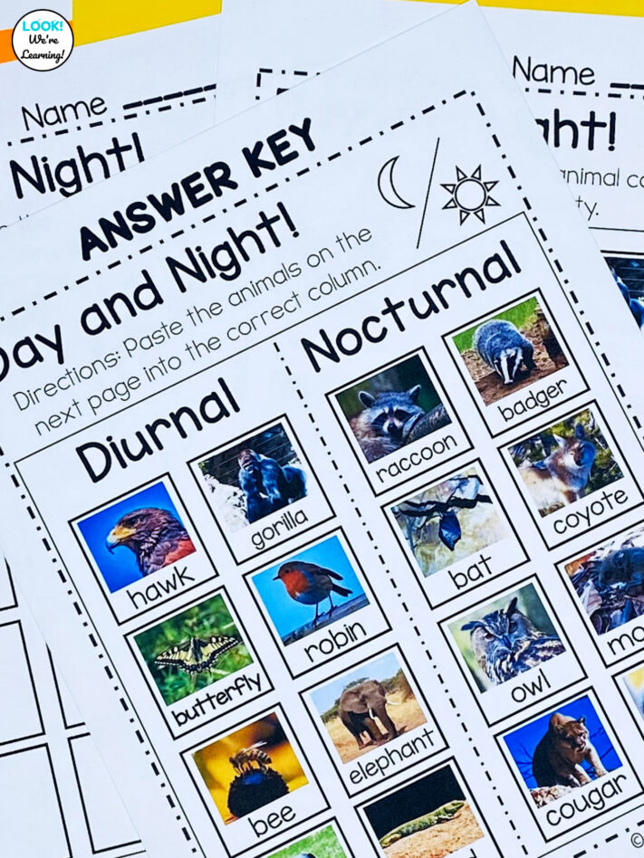 Nocturnal and Diurnal Animals for Early Grades