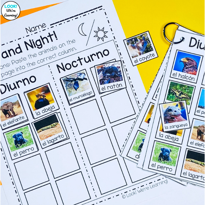 Spanish Nocturnal and Diurnal Animals Sorting